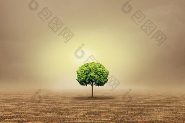 作为一个绿洲概念的搁浅和无助，作为一棵在炎热干旱的沙漠中脆弱的单株树，作为一个3D插图风格的隐晦隐喻。