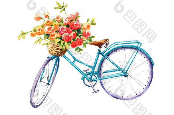 水彩蓝色自行车与美丽的花篮手绘夏季自行车插图隔离在白色背景上