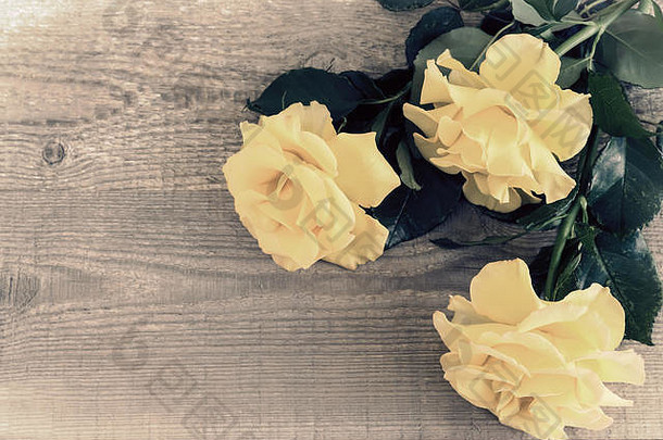 在浅色木质质朴背景上，有着精致花瓣的奢华黄玫瑰。俯视图，空间。