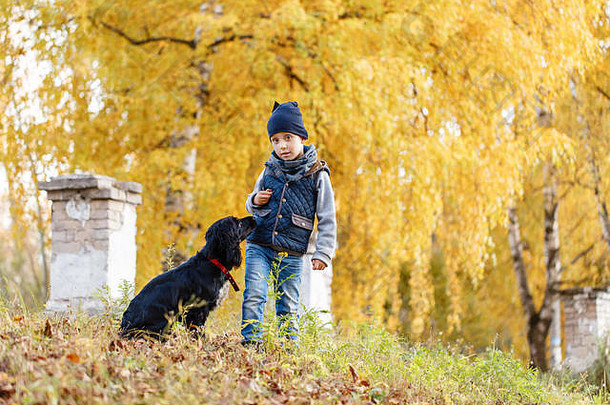 公园里有一个快乐的孩子和一只黑色的俄罗斯猎犬。明媚的秋日。叶子黄色的树。温暖的十月