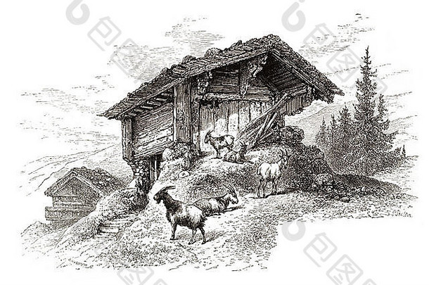 瑞士巴登Württemberg山区小屋德国黑林谷山区户外小屋木瓦屋顶房屋家庭农场