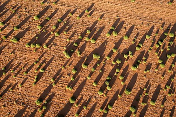 农田北西维多利亚澳大利亚干旱