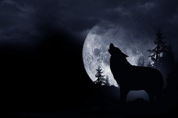 狼嚎黑暗背景。满月与荒野。