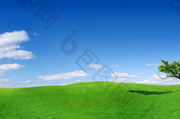 田园生活全景景观孤独的树绿色字段蓝色的天空白色云背景