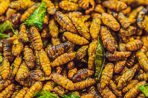 泰国街头食物中的油炸昆虫、虫子。条幅，长格式