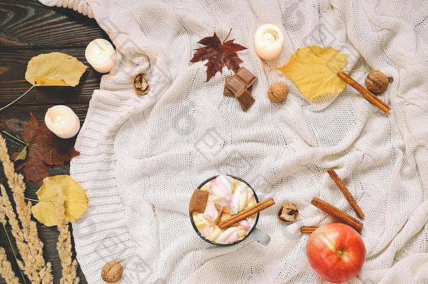 秋天框架使干秋天叶子杯子可可棉花糖坚果肉桂格子苹果前视图棕色（的）木背景