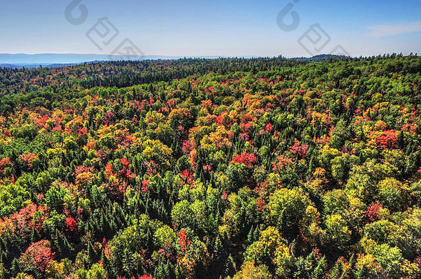 秋季森林丘陵鸟瞰图
