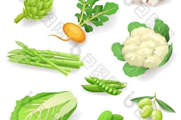 新鲜的有机蔬菜图标集孤立的健康的食物洋蓟萝卜蘑菇芦笋菜花豌豆橄榄中国人卷心菜菠菜