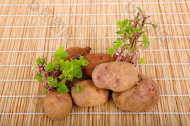 厨房桌子上发芽的土豆