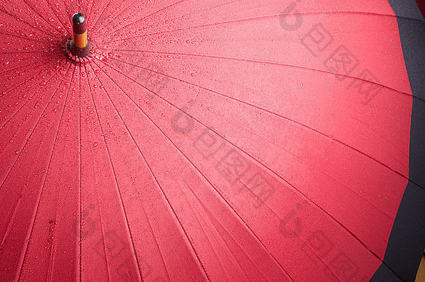 明亮的红色的湿伞
