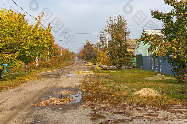 乌克兰Okhtyrka有很多秋天的果树的小街
