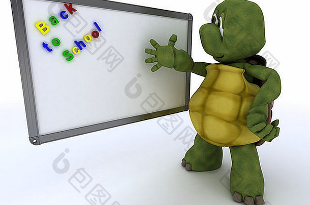 带白色教室干擦标记板的乌龟3D渲染
