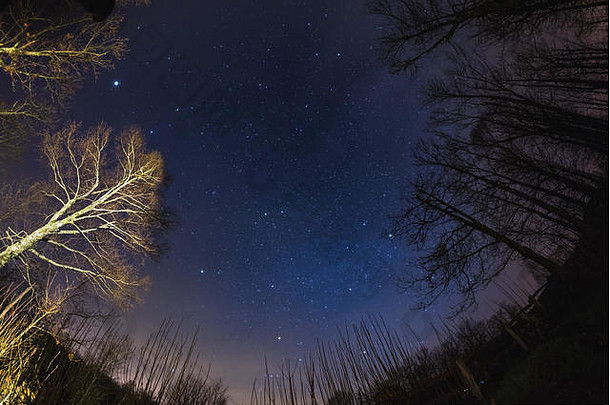 鱼眼视图布满星星的天空模糊运动云捕获稀疏的山毛榉林地猎户座双胞胎星座