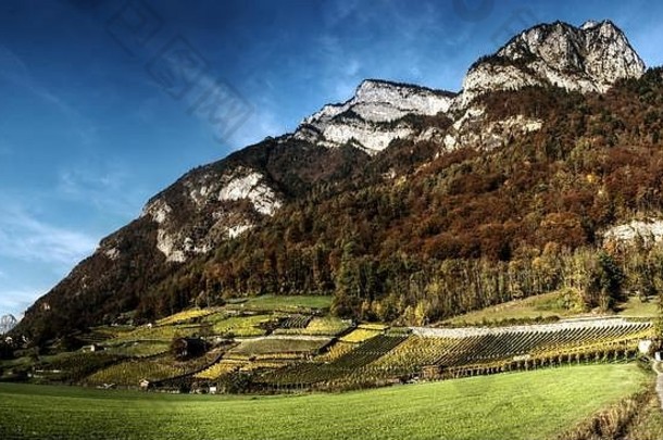 从瑞士阿尔卑斯山的海利格克鲁兹看，贡赞低山坡上的秋季葡萄园