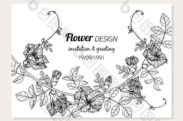 蝴蝶(2008年)花框架画插图邀请问候卡设计