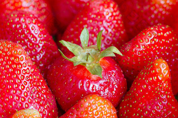草莓业务概念领导团队