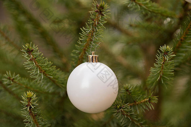 特写镜头不光滑的白色圣诞节球树