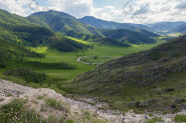 阿尔泰山脉风景如画的地方，野地绿树绿草，脚下有一条蜿蜒的道路，蓝天下有云朵