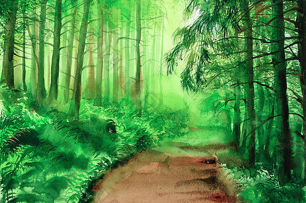 水彩绘画绿色有雾的森林维罗妮卡苏罗夫采娃