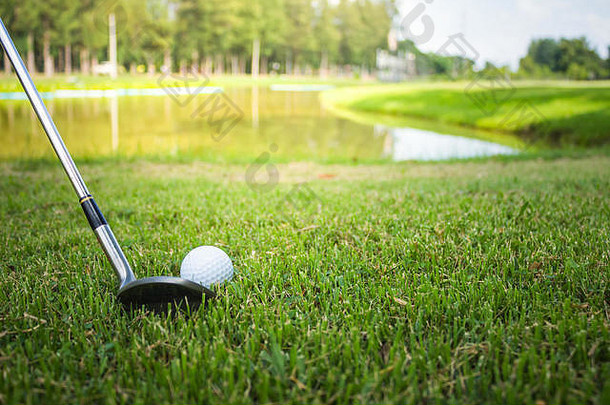 高尔夫球杆和草地上的球