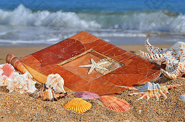贝壳专辑海滩沙子蓝色的海