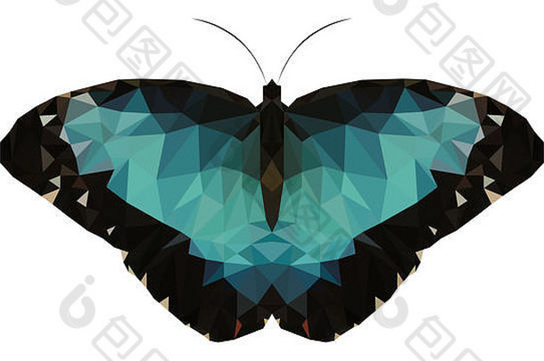 形态蝴蝶的低多边形插图
