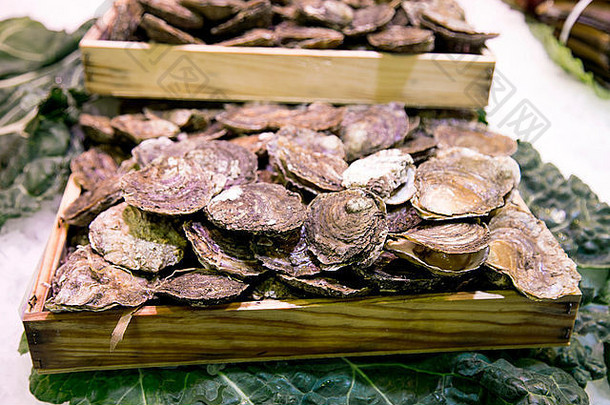 市场摊位上有许多牡蛎。