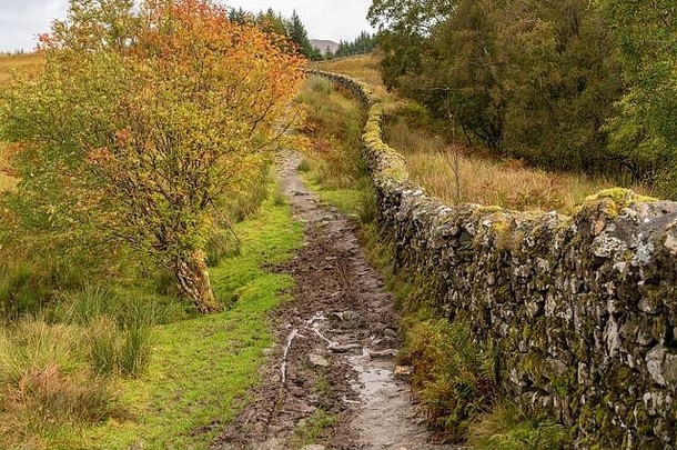一条泥泞的小路蜿蜒在一堵旧石墙上。在探索苏格兰和徒步穿越西部高地时拍摄