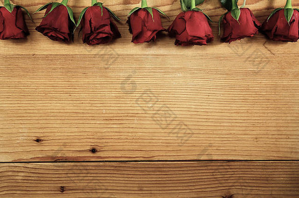 纹理木材上的红玫瑰与空间