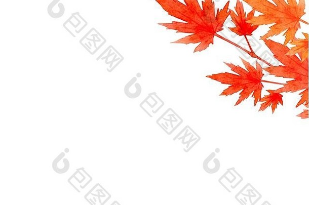 在白色背景上隔离的秋季红叶框架。平面布局、俯视图、空间。