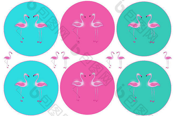创意手绘粉色火烈鸟，周围环绕着绿松石-粉色-翡翠色圆圈，孤立，卡片、贴纸、横幅、包装纸设计