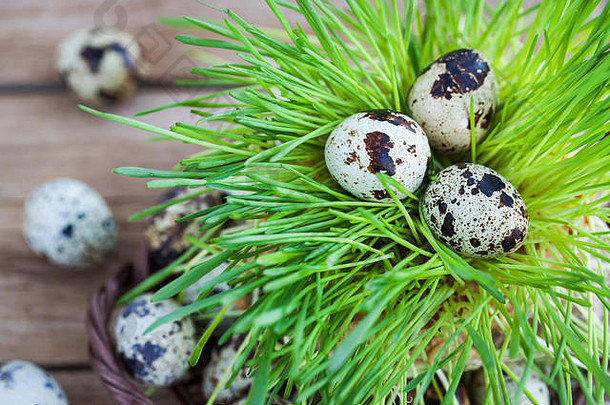 木质背景上新鲜绿草上的复活节鹌鹑蛋，空间，复活节或春天概念