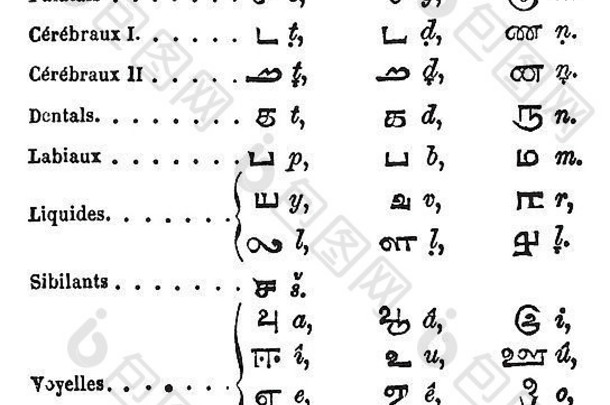 泰米尔语字母表，复古雕刻。泰米尔语字母和英语拼音的古老雕刻插图。