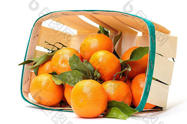 新鲜的橘子篮子白色背景