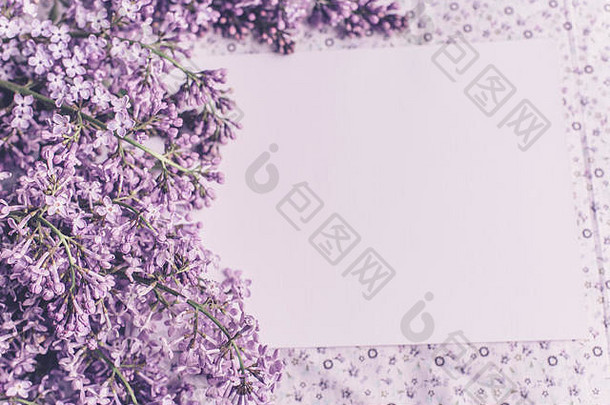 春天的花。白色木质背景上的丁香花。俯视图，平面布局，带空间