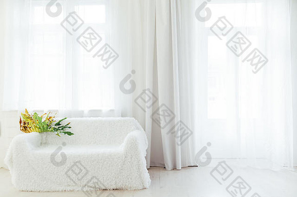 沙发室内白色房间窗户植物