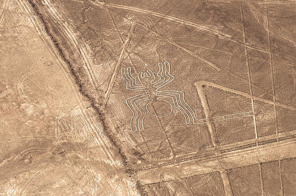 空中视图蜘蛛geoglyph画秘鲁沿海沙漠神秘的纳斯卡行纳斯卡城市秘鲁