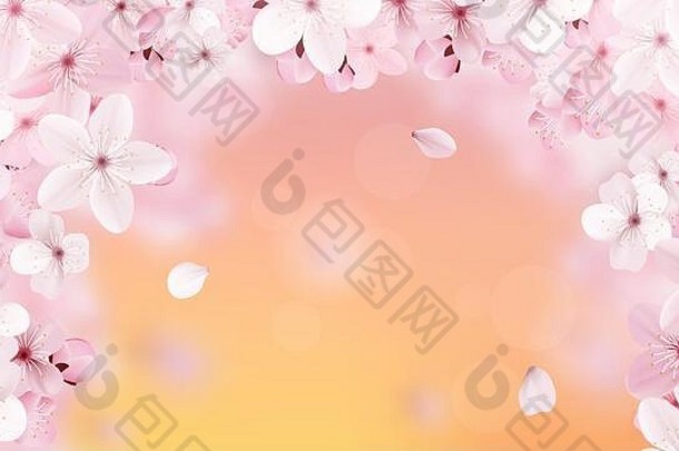 美丽的打印开花光粉红色的樱花花