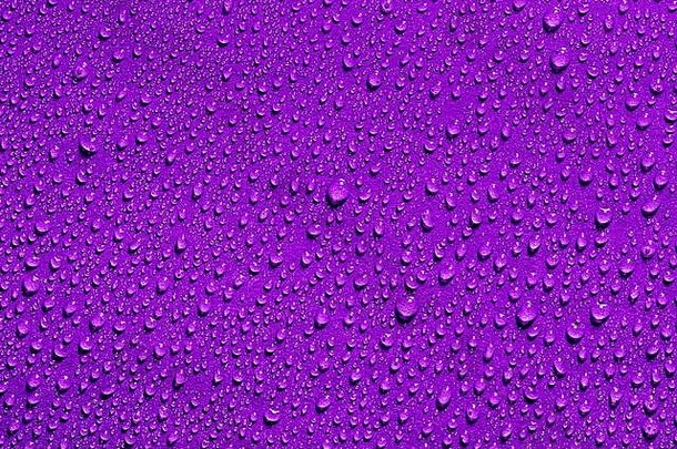 紫色背景上的宏观水滴纹理。用于设计的抽象图案或空白。