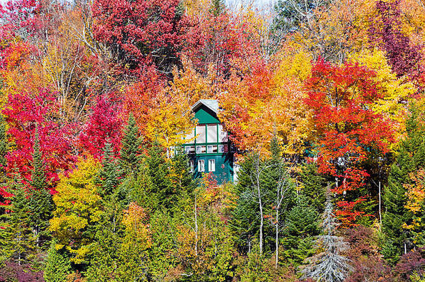 秋天开始影响魁北克北部的乡村小屋。树木在冬天的前变成血红色。