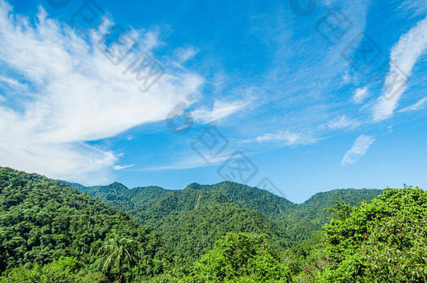 美丽的景观森林渗透华丽的蓝色的天空