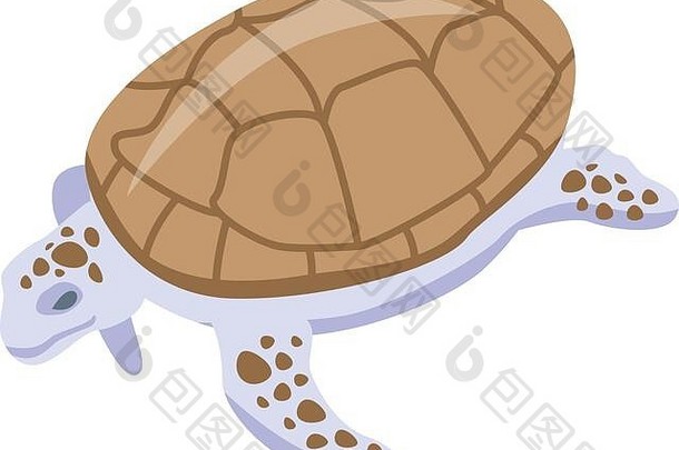白棕色海龟图标，等距样式