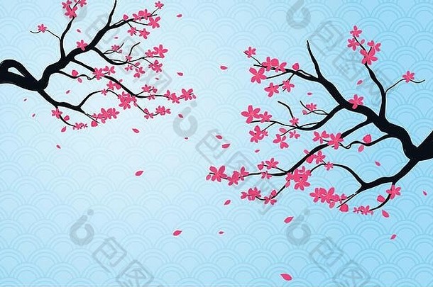 樱桃开花背景日本模式风格