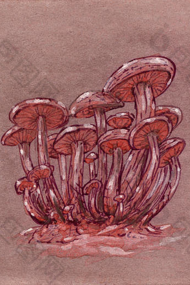 奇幻蘑菇群。墨水和水粉画在纸上。