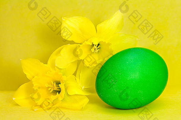 黄色背景下彩绘复活节彩蛋和水仙