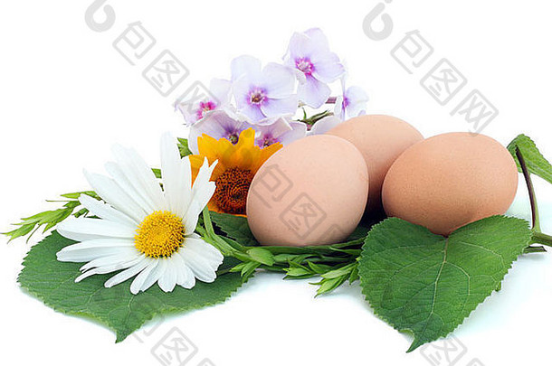 复活节简单的农家蛋在一个巢里，由夏天的花朵，隔离在白色的。