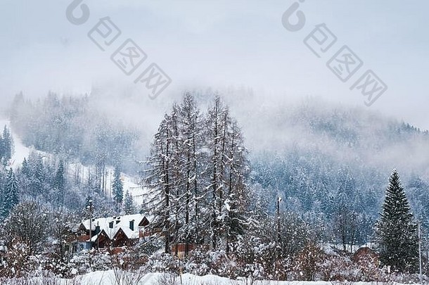 冬天山村景观雪可爱的房子美丽的松树覆盖新鲜的雪需要意大利
