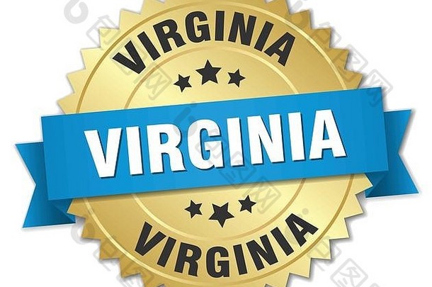 维吉尼亚州轮金徽章蓝色的丝带