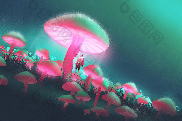 雨夜大蘑菇林中的徒步旅行者，插图绘画