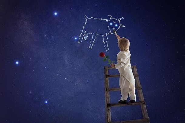 托克塞多美丽的蹒跚学步的男孩，打扮成故事中的小王子，手里拿着红玫瑰，画着天上的星星